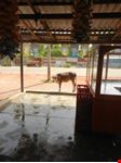 un cliente atipico